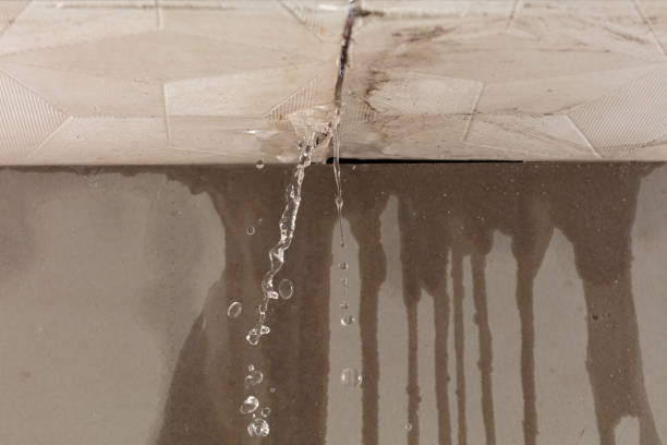 Professional Structural Drying technician working in Gladstone, MO